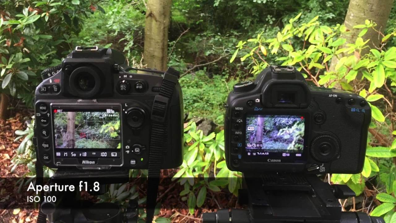 Canon EOS 5D Mark IV Vs Nikon D850 Review