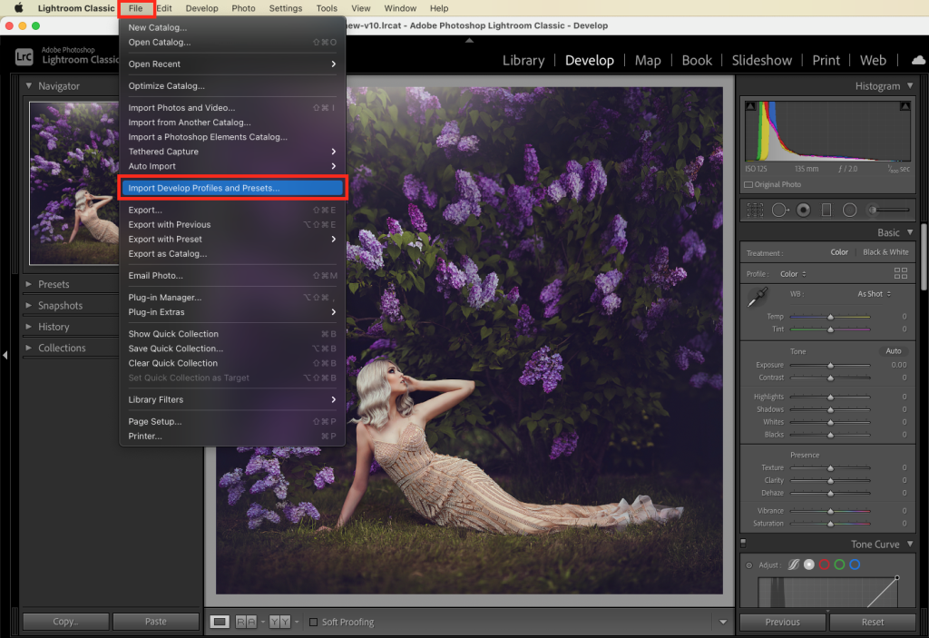 How to Import and Install Presets in Lightroom