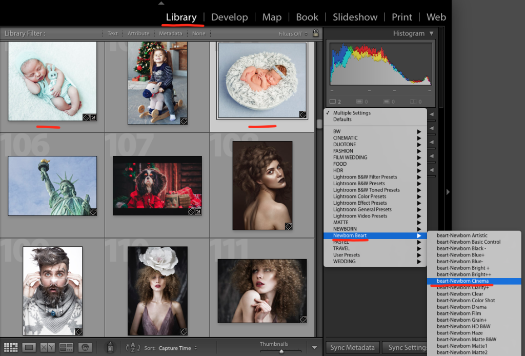 How to Use Presets for Batch of Images in Lightroom Library