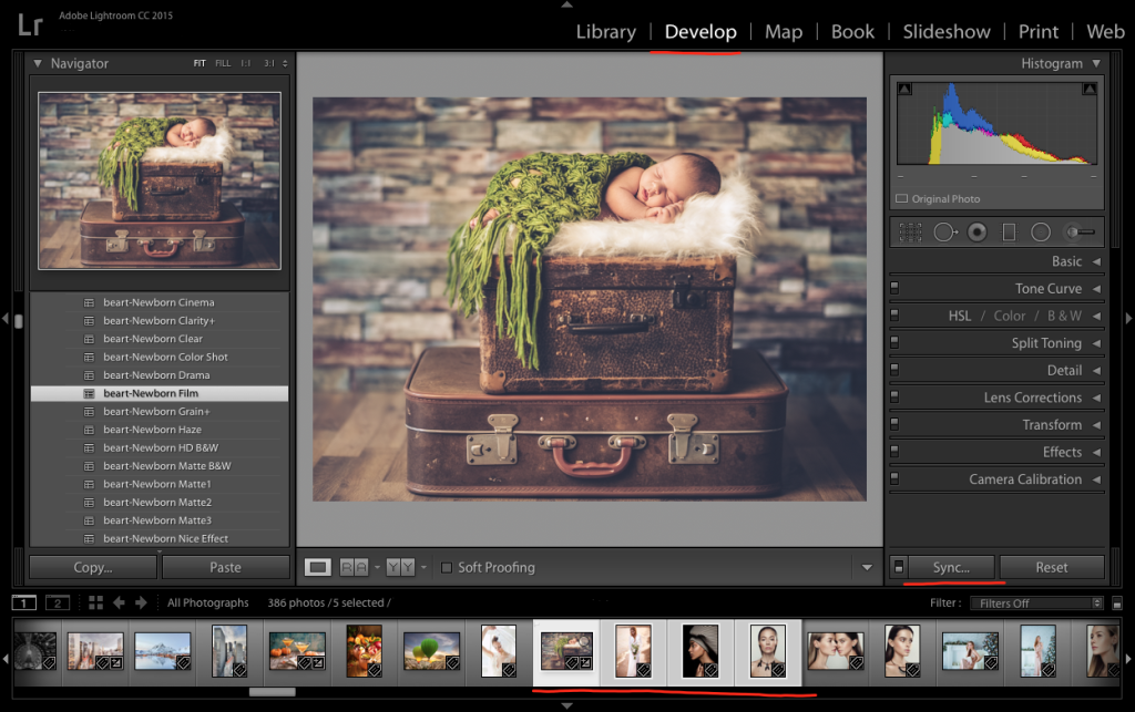 In Development Mode, Apply Preset to a Batch of Photos