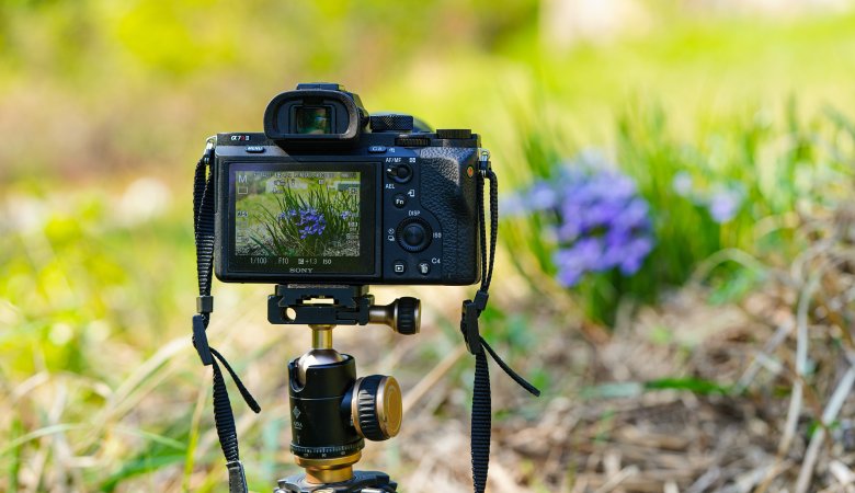 How To Use Framing to Highlight the Subject in Photography
