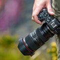 What Are Some Recommended Photography Courses for Canon Beginners
