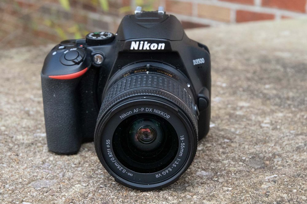 Which Entry-Level Nikon DSLR Cameras Offer the Best Value for Beginners?